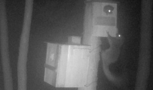 動画サムネイル