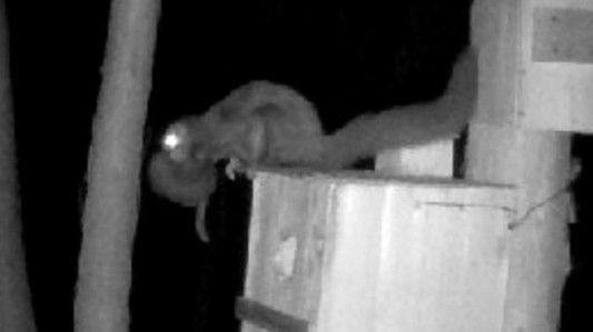 動画サムネイル