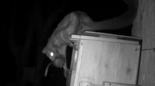 動画サムネイル