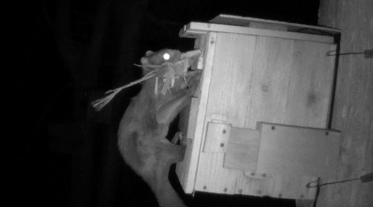 動画サムネイル