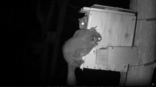 動画サムネイル