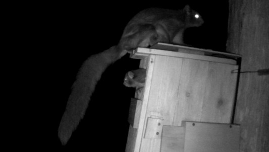 動画サムネイル