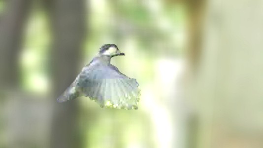 動画サムネイル