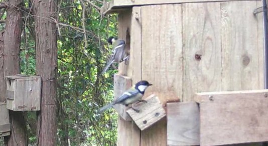 動画サムネイル