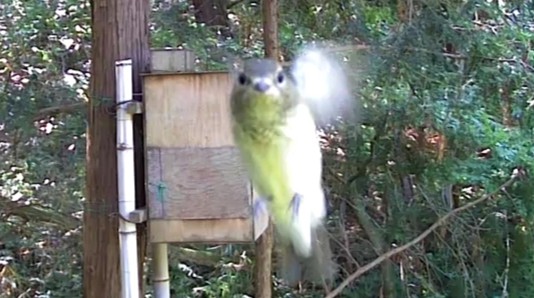 動画サムネイル