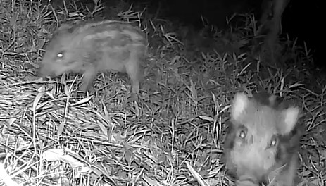 動画サムネイル