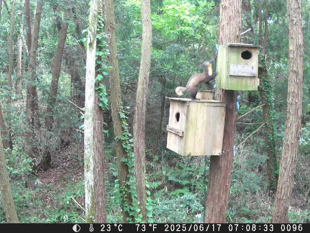 動画サムネイル