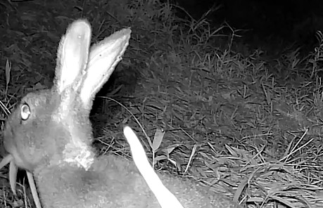 動画サムネイル