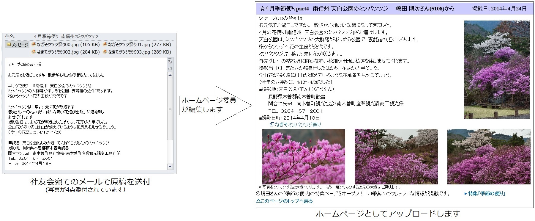 投稿例